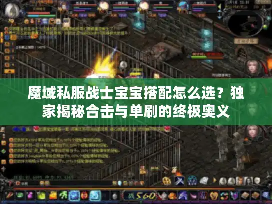 魔域私服战士宝宝搭配怎么选？独家揭秘合击与单刷的终极奥义
