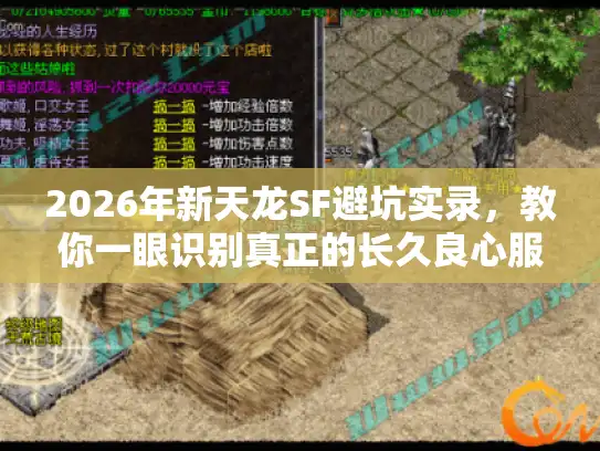 2026年新天龙SF避坑实录，教你一眼识别真正的长久良心服