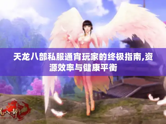 天龙八部私服通宵玩家的终极指南,资源效率与健康平衡