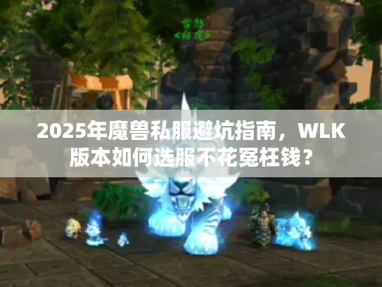 2025年魔兽私服避坑指南，WLK版本如何选服不花冤枉钱？