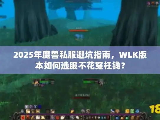 2025年魔兽私服避坑指南，WLK版本如何选服不花冤枉钱？