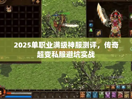 2025单职业满级神服测评，传奇超变私服避坑实战
