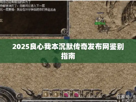 2025良心我本沉默传奇发布网鉴别指南 2025良心我本沉默传奇发布网鉴别指南