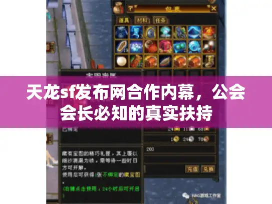 天龙sf发布网合作内幕，公会会长必知的真实扶持