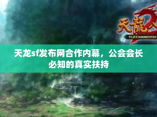 天龙sf发布网合作内幕，公会会长必知的真实扶持