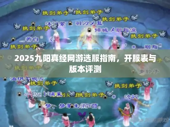 2025九阳真经网游选服指南，开服表与版本评测