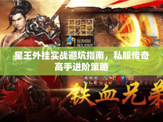 星王外挂实战避坑指南，私服传奇高手进阶策略