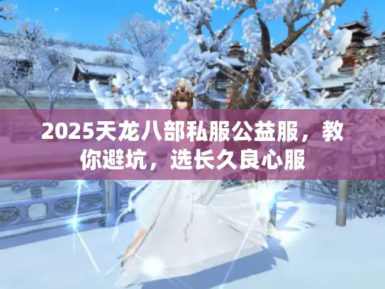 2025天龙八部私服公益服，教你避坑，选长久良心服