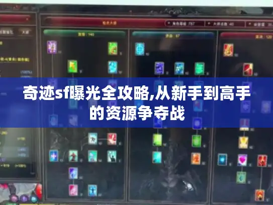 奇迹sf曝光全攻略,从新手到高手的资源争夺战