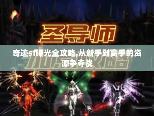 奇迹sf曝光全攻略,从新手到高手的资源争夺战