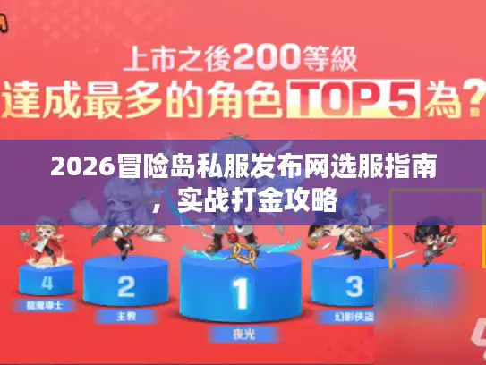 2026冒险岛私服发布网选服指南，实战打金攻略
