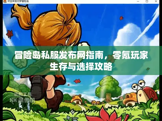 冒险岛私服发布网指南，零氪玩家生存与选择攻略