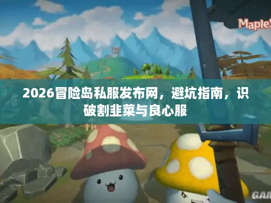 2026冒险岛私服发布网，避坑指南，识破割韭菜与良心服