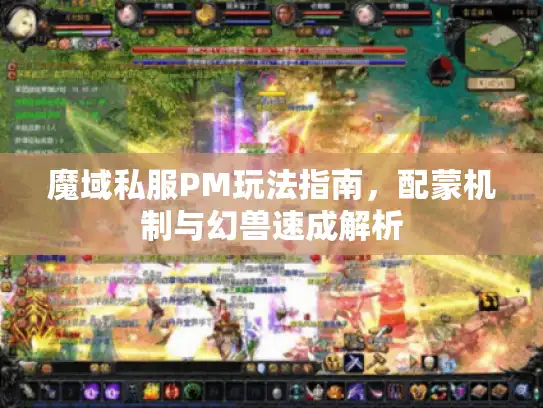 魔域私服PM玩法指南，配蒙机制与幻兽速成解析