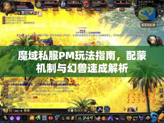 魔域私服PM玩法指南，配蒙机制与幻兽速成解析
