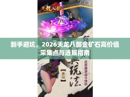 新手避坑，2026天龙八部金矿石高价值采集点与选服指南