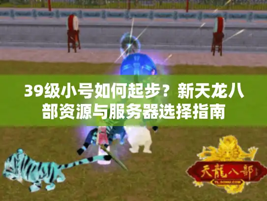 39级小号如何起步?新天龙八部资源与服务器选择指南 39级小号如何起步?新天龙八部资源与服务器选择指南
