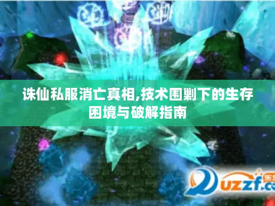 诛仙私服消亡真相,技术围剿下的生存困境与破解指南