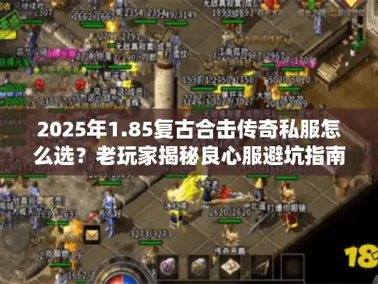 2025年1.85复古合击传奇私服怎么选？老玩家揭秘良心服避坑指南