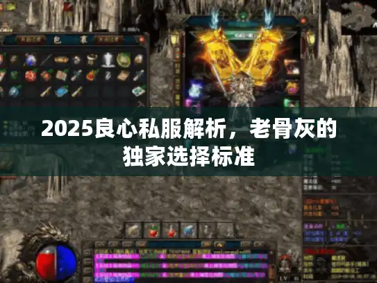 2025良心私服解析，老骨灰的独家选择标准
