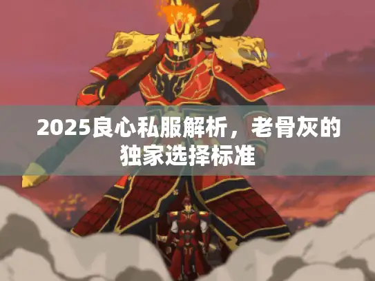2025良心私服解析，老骨灰的独家选择标准