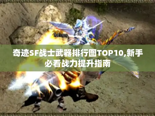 奇迹SF战士武器排行图TOP10,新手必看战力提升指南