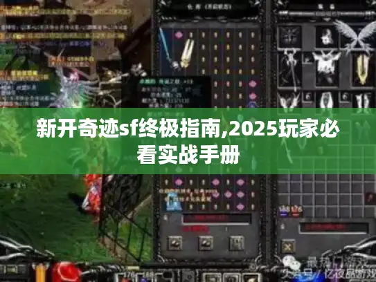 新开奇迹sf终极指南,2025玩家必看实战手册