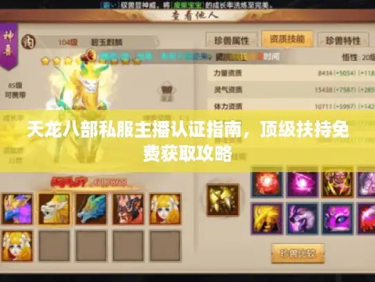 天龙八部私服主播认证指南，顶级扶持免费获取攻略