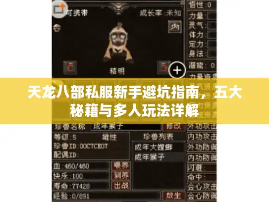 天龙八部私服新手避坑指南，五大秘籍与多人玩法详解