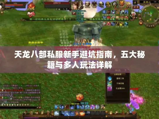 天龙八部私服新手避坑指南，五大秘籍与多人玩法详解