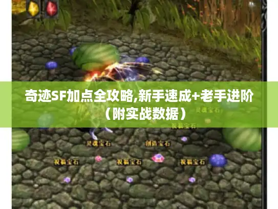 奇迹SF加点全攻略,新手速成+老手进阶（附实战数据）