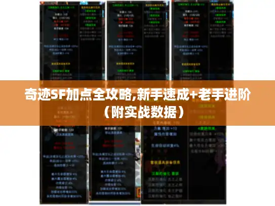 奇迹SF加点全攻略,新手速成+老手进阶（附实战数据）