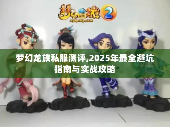 梦幻龙族私服测评,2025年最全避坑指南与实战攻略