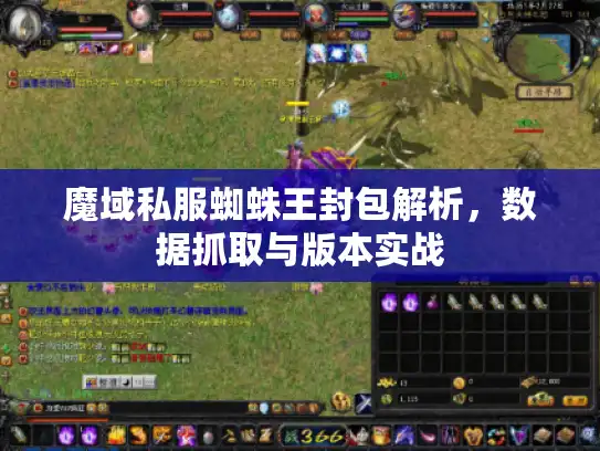 魔域私服蜘蛛王封包解析，数据抓取与版本实战