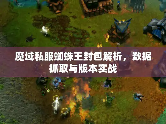 魔域私服蜘蛛王封包解析，数据抓取与版本实战