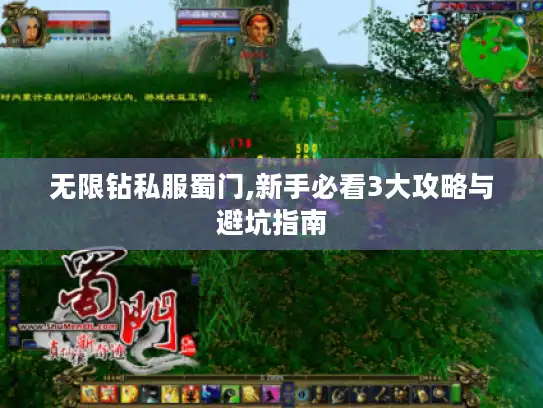 无限钻私服蜀门,新手必看3大攻略与避坑指南