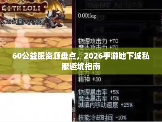 60公益服资源盘点，2026手游地下城私服避坑指南