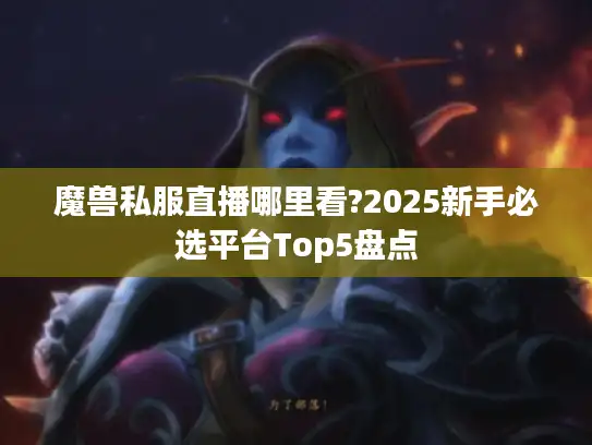 魔兽私服直播哪里看?2025新手必选平台Top5盘点