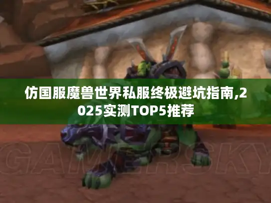 仿国服魔兽世界私服终极避坑指南,2025实测TOP5推荐