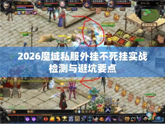 2026魔域私服外挂不死挂实战检测与避坑要点