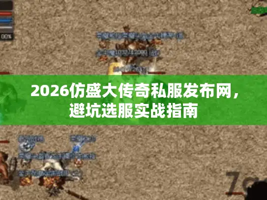 2026仿盛大传奇私服发布网，避坑选服实战指南