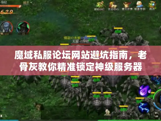 魔域私服论坛网站避坑指南，老骨灰教你精准锁定神级服务器