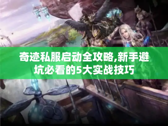 奇迹私服启动全攻略,新手避坑必看的5大实战技巧