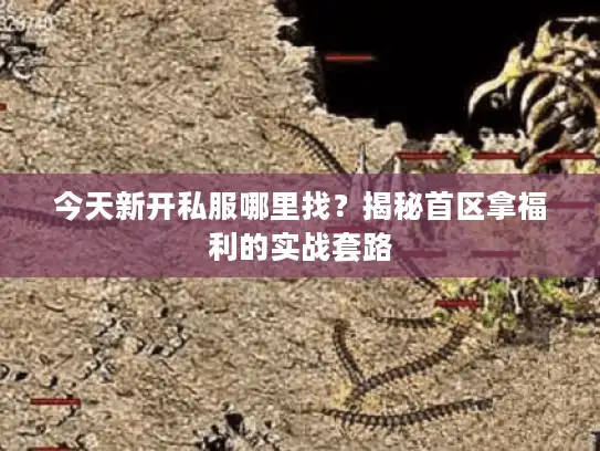 今天新开私服哪里找？揭秘首区拿福利的实战套路
