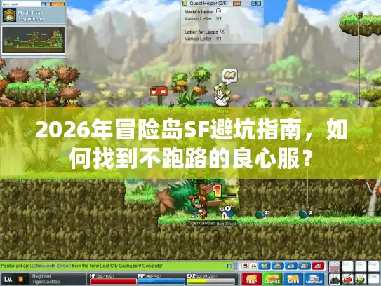 2026年冒险岛SF避坑指南，如何找到不跑路的良心服？