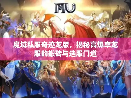 魔域私服奇迹龙版，揭秘高爆率龙服的搬砖与选服门道