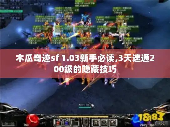 木瓜奇迹sf 1.03新手必读,3天速通200级的隐藏技巧
