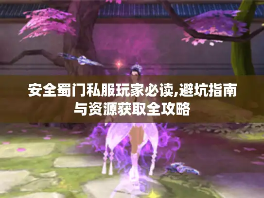 安全蜀门私服玩家必读,避坑指南与资源获取全攻略