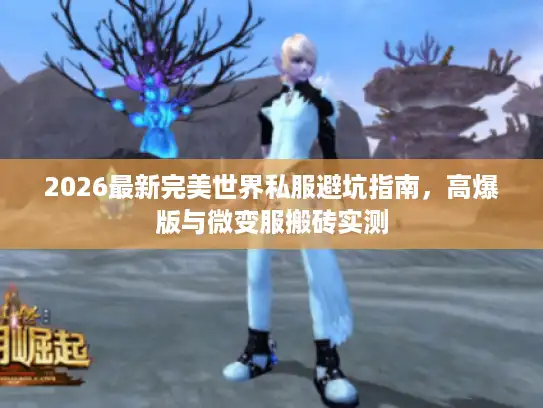 2026最新完美世界私服避坑指南，高爆版与微变服搬砖实测