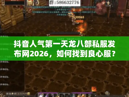 抖音人气第一天龙八部私服发布网2026，如何找到良心服？